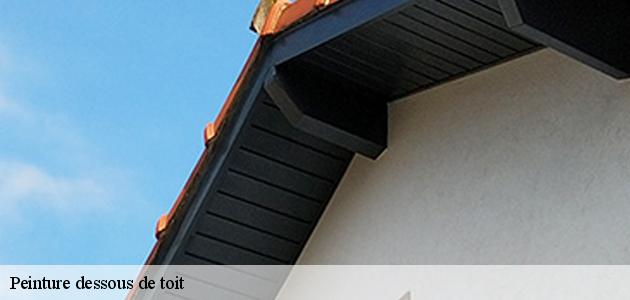 Le choix du matériau de votre dessous de toit : le couvreur Boiteau David propose le PVC