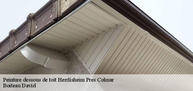 Boiteau David et les travaux de changement des dessous de toit à Herrlisheim Pres Colmar