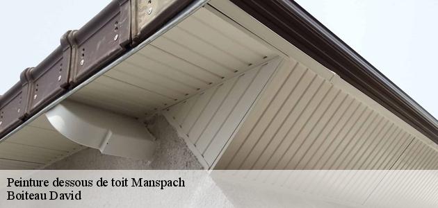 Boiteau David et les travaux de peinture des dessous de toit à Manspach dans le 68210