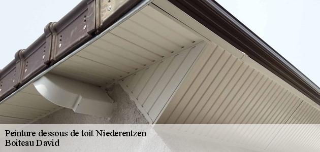 Boiteau David et les travaux de peinture des dessous de toit à Niederentzen dans le 68250