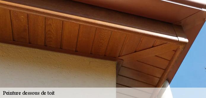 Entreprise KG Nettoyage : à votre disposition pour vos travaux de peinture de dessous de toit