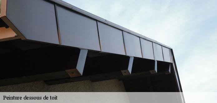 Peinture de dessous de toit : l’entreprise CR RENOVATION 68 met ses peintres à votre disposition