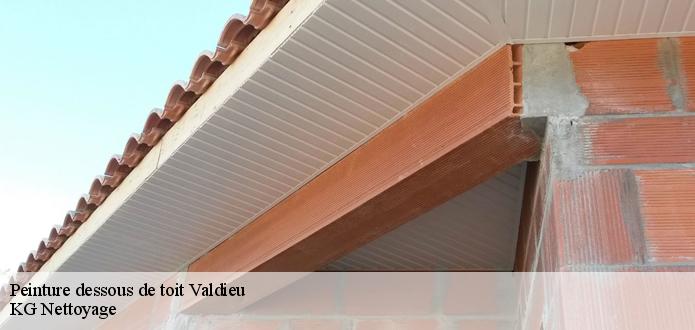 Le choix du matériau de votre dessous de toit : le couvreur CR RENOVATION 68 propose le PVC