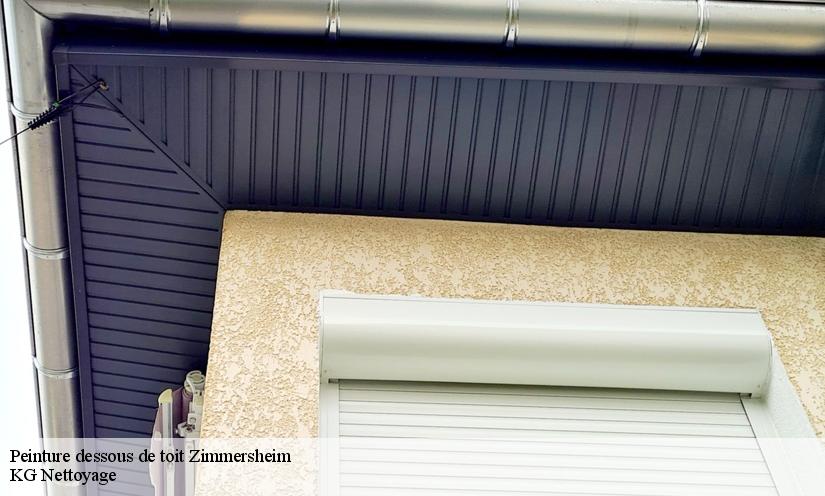 KG Nettoyage  et les travaux de changement des dessous de toit à Zimmersheim