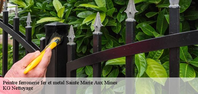L’entreprise polyvalente CR RENOVATION 68 assure la peinture dur vos portails métalliques
