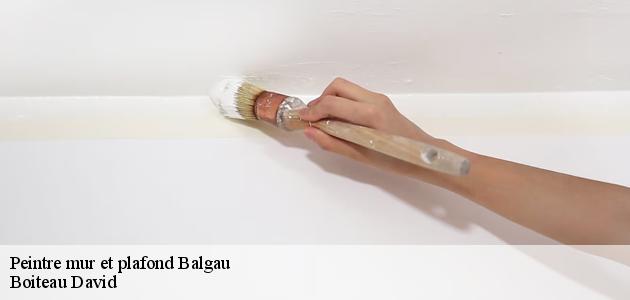 Qui peut effectuer les travaux de peinture des plafonds à Balgau ?