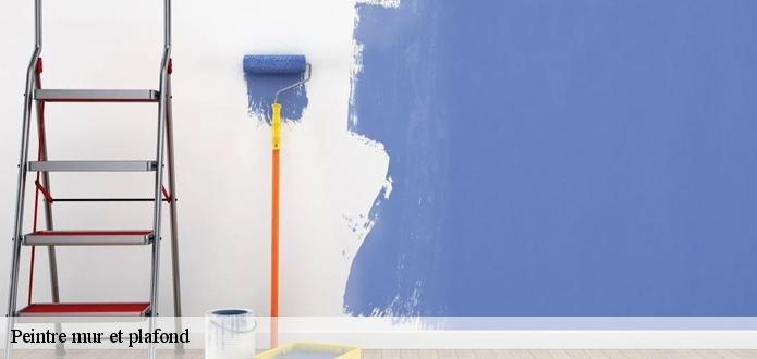Intervention du peintre plafond intérieur KG Nettoyage suivant les règles de l’art