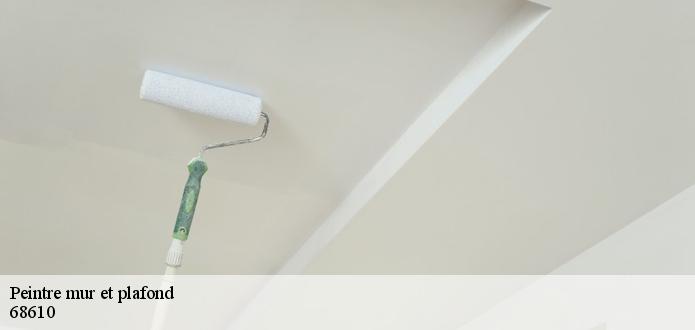 Peintre mur et plafond CR RENOVATION 68 propose un tarif adapté à tous