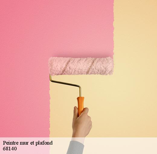Entreprise CR RENOVATION 68 pour la peinture mur et plafond