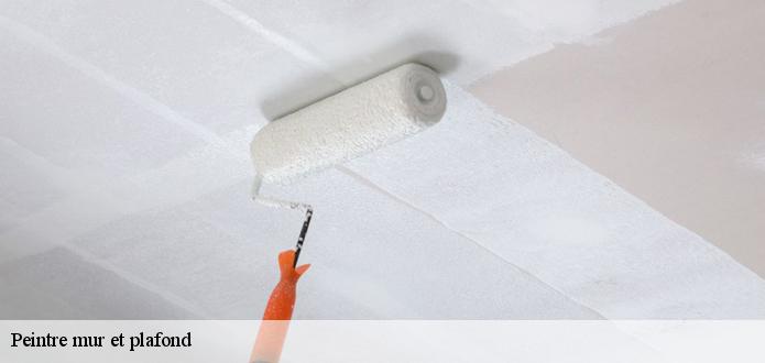 Qui peut effectuer les travaux de peinture des plafonds à Gunsbach ?