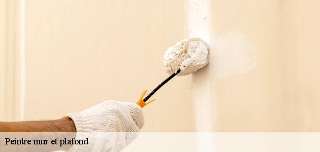 Qui peut effectuer les travaux de peinture des plafonds à Widensohlen ?