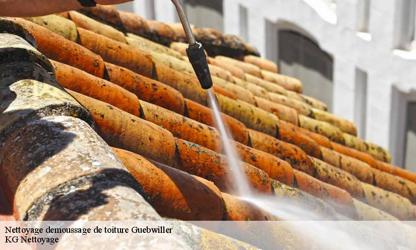 Les artisans couvreurs de KG Nettoyage  sont à votre disposition pour un nettoyage démoussage de toiture à 68500