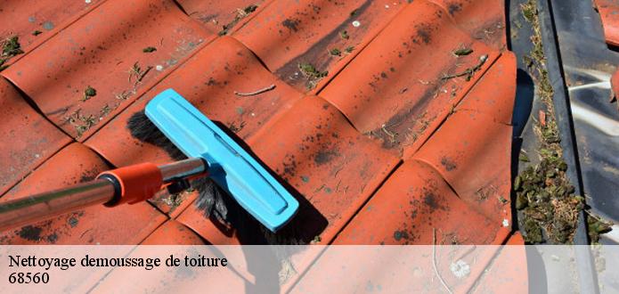 Les interventions de nettoyage des toits à Hirsingue dans le 68560