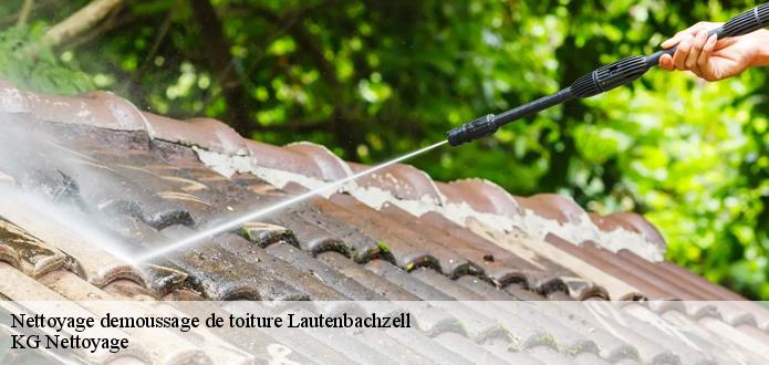 Les artisans couvreurs de CR RENOVATION 68 vous garantissent des services respectant les normes exigées