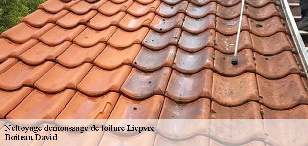 Les travaux de nettoyage des toits des maisons à Liepvre