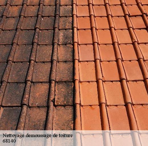 Les travaux de nettoyage des toits des maisons à Munster