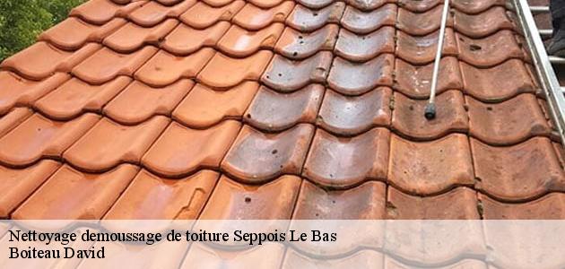 Les travaux de nettoyage des toits des maisons à Seppois Le Bas