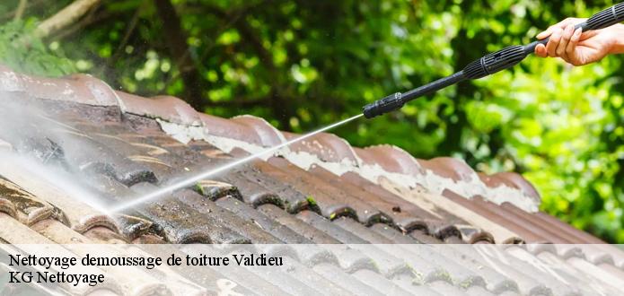 Les responsables de l’entreprise CR RENOVATION 68 vous établissent un devis nettoyage et démoussage de toiture