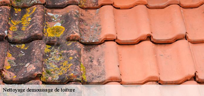 Faites confiance aux artisans couvreurs de KG Nettoyage  pour le nettoyage de tuile