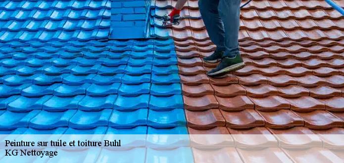 L’entreprise KG Nettoyage  vous assure une peinture sur toiture parfaite et garantie