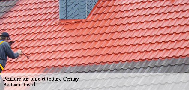 Les travaux de peinture sur les tuiles de la toiture à Cernay dans le 68700