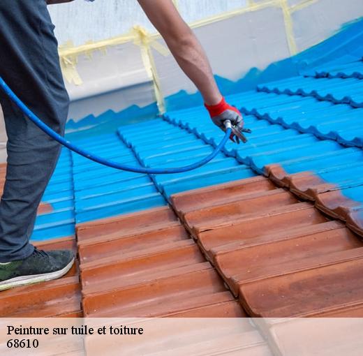 CR RENOVATION 68 est une entreprise de peinture renommée dans la région 68610