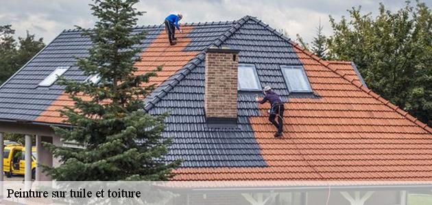 CR RENOVATION 68 applique de la peinture colorée pour rendre votre toit plus tenace