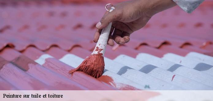CR RENOVATION 68 applique de la peinture colorée pour rendre votre toit plus tenace