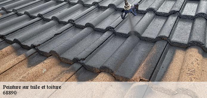 L’entreprise KG Nettoyage  vous assure une peinture sur toiture parfaite et garantie