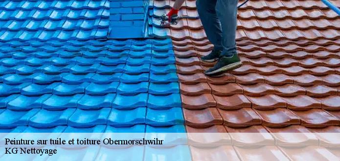 Comment trouver la meilleure entreprise qui propose un prix de peinture moins cher à Obermorschwihr ? 