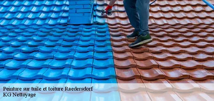 Les travaux de peinture sur les tuiles de la toiture à Raedersdorf dans le 68480