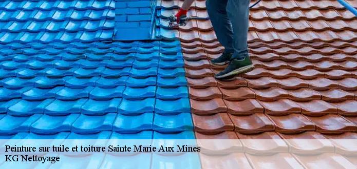 L’entreprise CR RENOVATION 68 est une spécialiste en matière de peinture sur toiture à 68660 