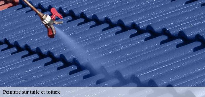 Confiez la peinture de votre toiture à Schweighouse Pres Thann à KG Nettoyage