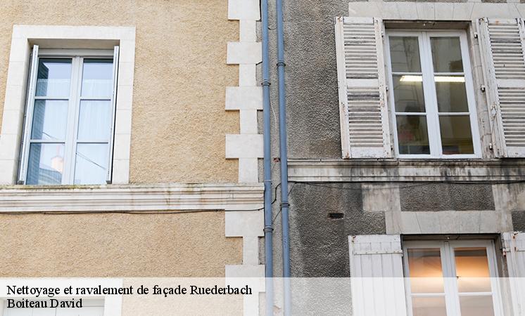 Les aptitudes de Boiteau David pour effectuer les travaux de nettoyage des façades à Ruederbach