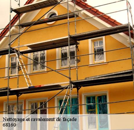 Les aptitudes de CR RENOVATION 68 pour effectuer les travaux de nettoyage des façades à Liepvre