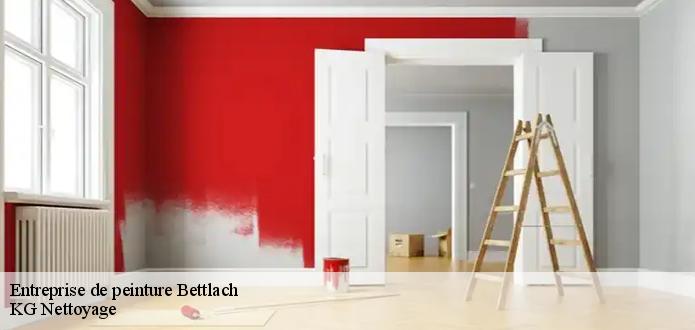 Chez l’entreprise de peinture KG Nettoyage , vous pouvez choisir des peintures extérieures de meilleure qualité