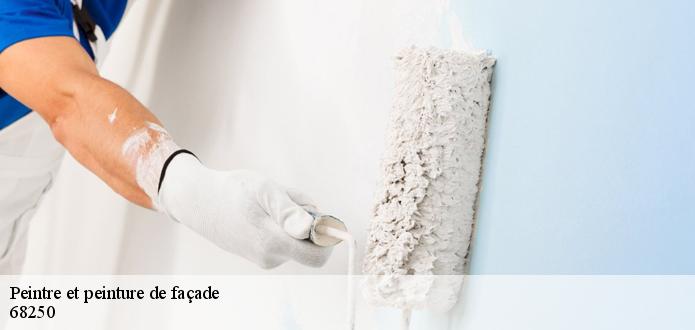Le peintre façadier KG Nettoyage  applique la pose d’enduit de façade à 68250