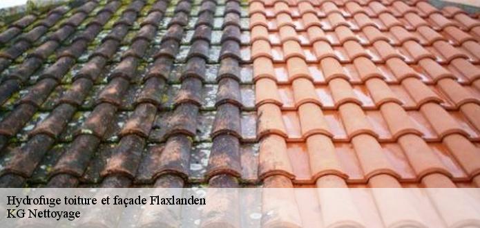 Qui peut effectuer l'hydrofugation des toits des maisons à Flaxlanden dans le 68720 et ses environs?