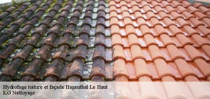 Hydrofuge tuile 68220 avec KG Nettoyage 