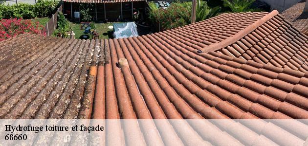 L'application des produits hydrofuges au niveau des toits des maisons à Liepvre