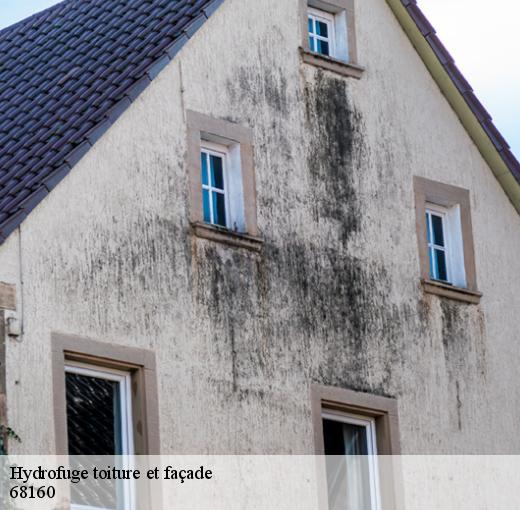 CR RENOVATION 68 pour imperméabiliser votre façade