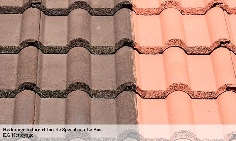 KG Nettoyage  pour imperméabiliser votre façade