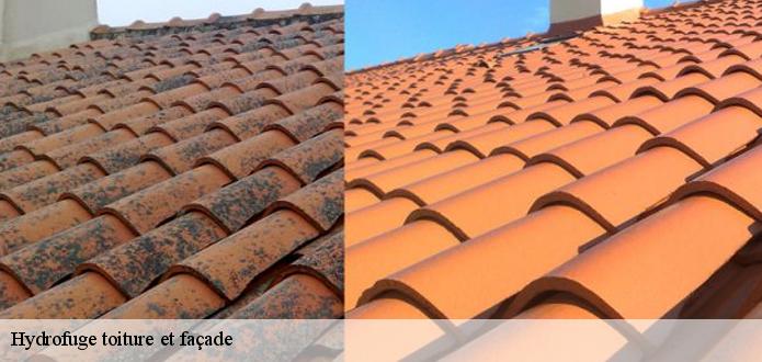 KG Nettoyage pour imperméabiliser votre façade