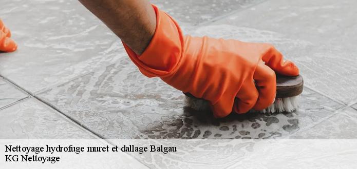 Qui s'occupe des travaux de mise en place des hydrofuges au niveau des dallages et des murets ?