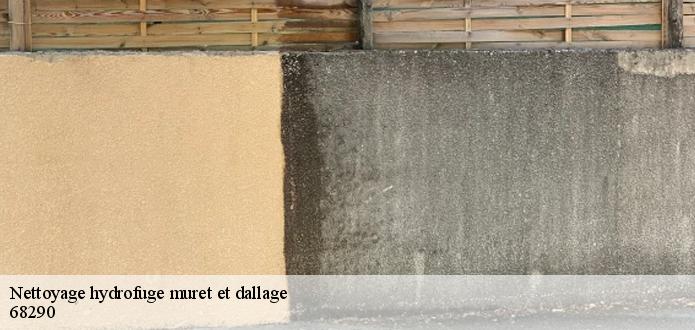 KG Nettoyage  pour un démoussage de dallage