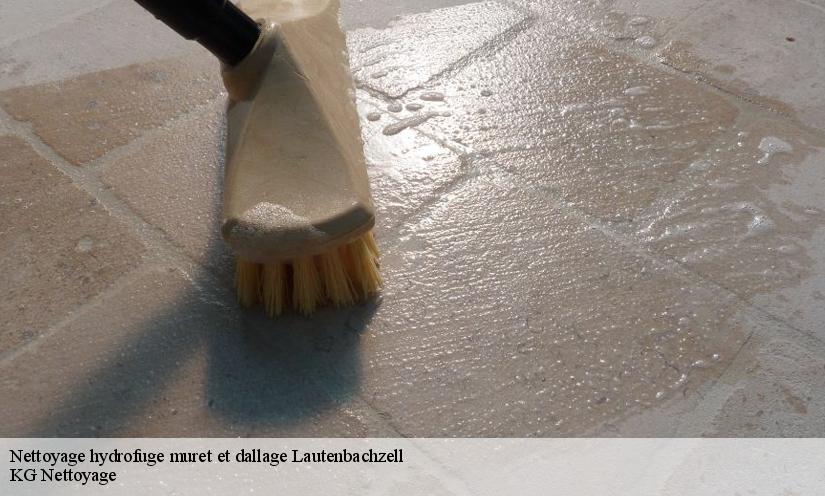 Le nettoyage des murets à Schweighouse dans le 68610