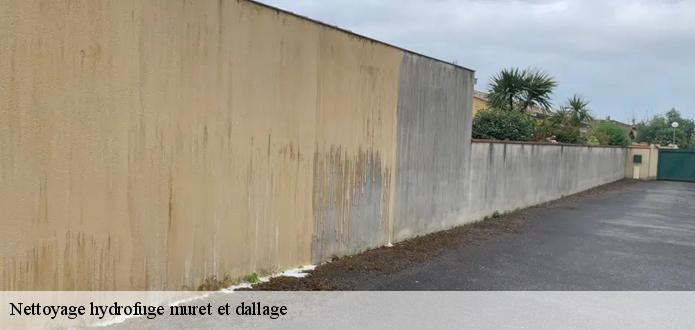 CR RENOVATION 68 pour un hydrofuge de muret 68610