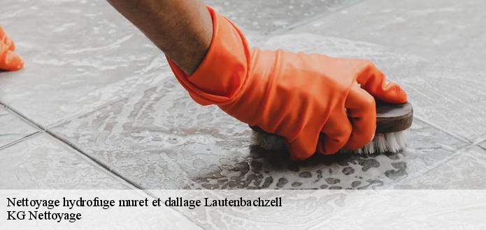 Les travaux de nettoyage des murets à Schweighouse dans le 68610
