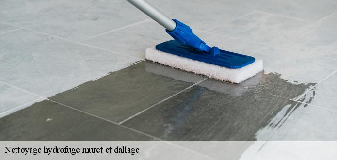 KG Nettoyage pour un traitement hydrofuge de dallage 68530